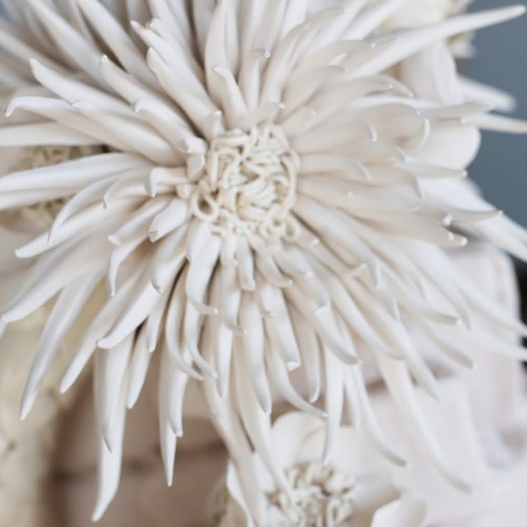 Meet your Posher, Trudy - Picture 1 of 1